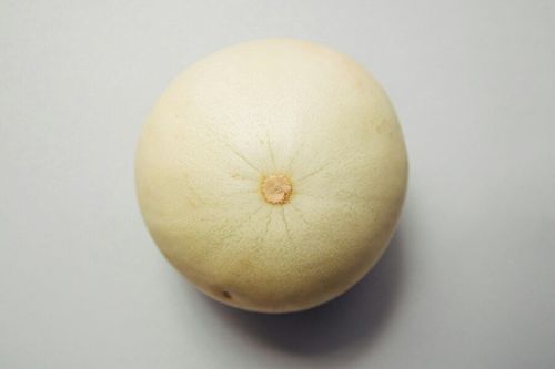 Nippel quälen